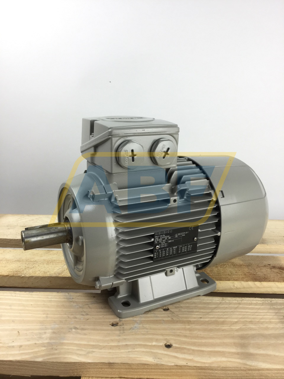 1LE1002-1AD42-2AA4 Siemens