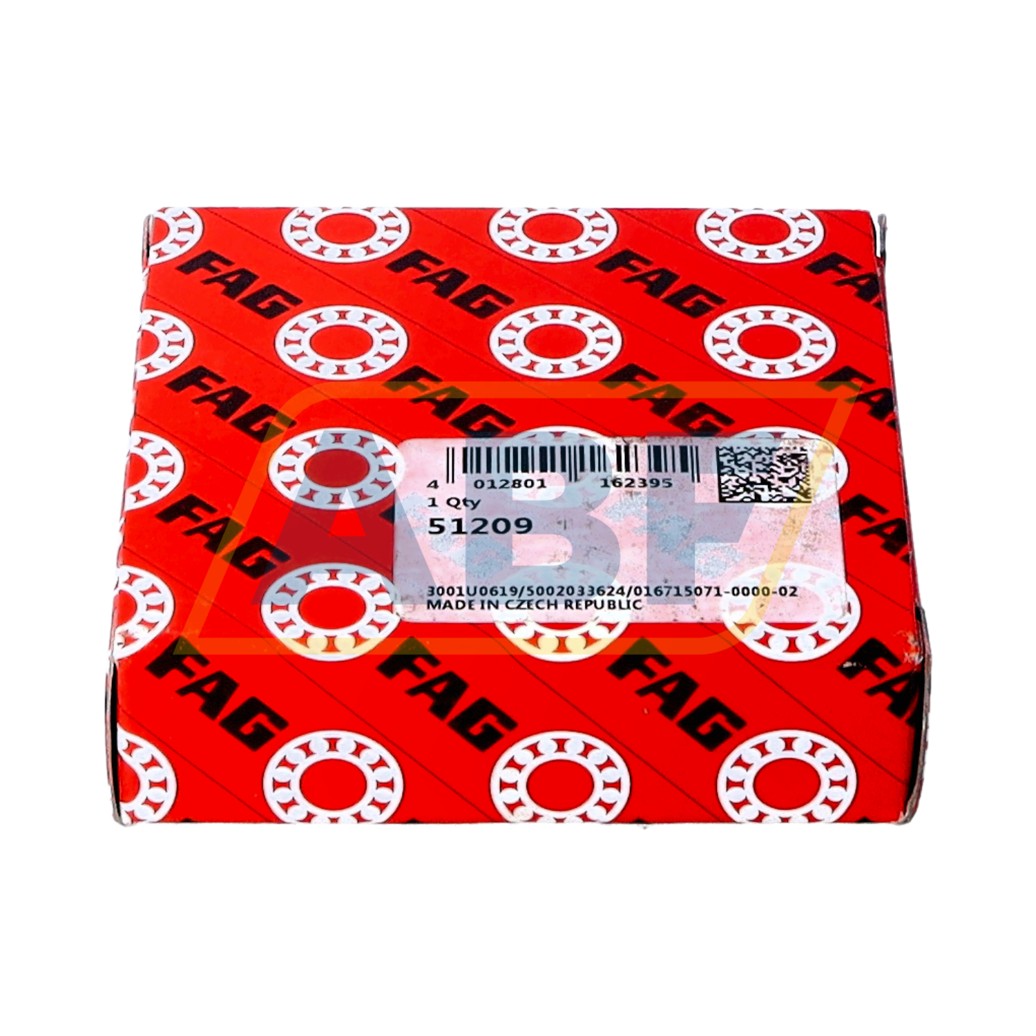 51209 FAG