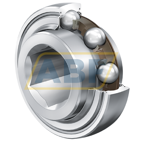 SK102-207-KRR-B-AH10 INA