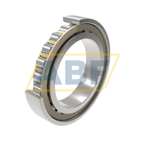 N1009-C-K-PVPA1-SP FAG