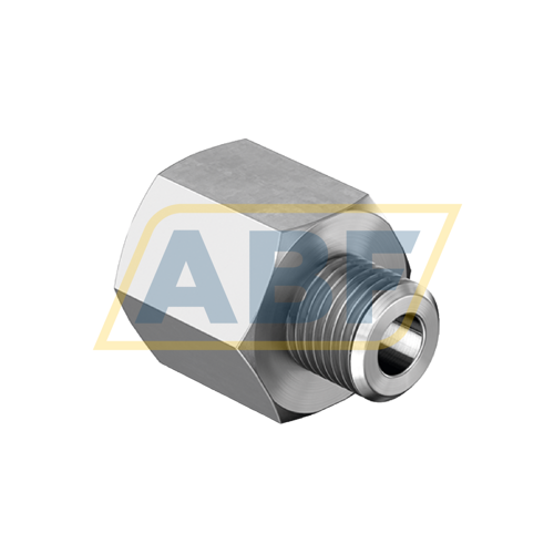 ARCALUB-C1.NIPPLE-M10-G1/4 Schaeffler