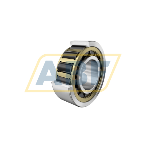 NJ2313-E-XL-MPAX-C3H/NA FAG