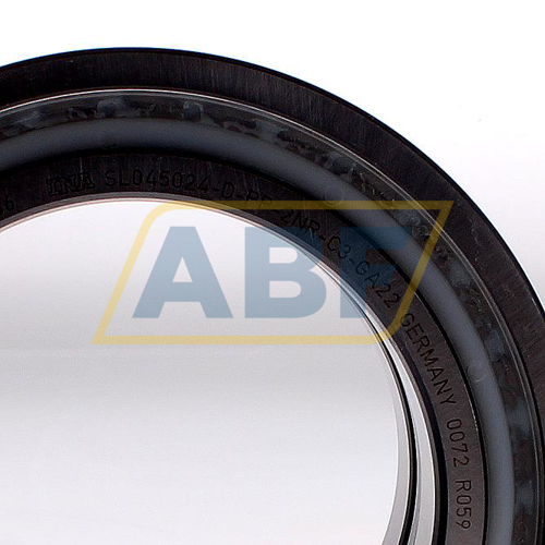 SL045024-D-PP-2NR-C3 INA