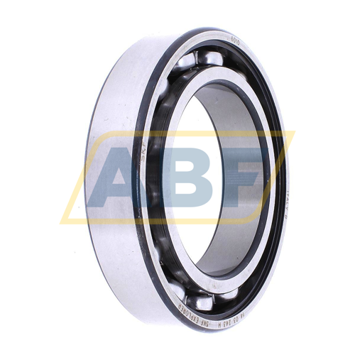 6010 SKF