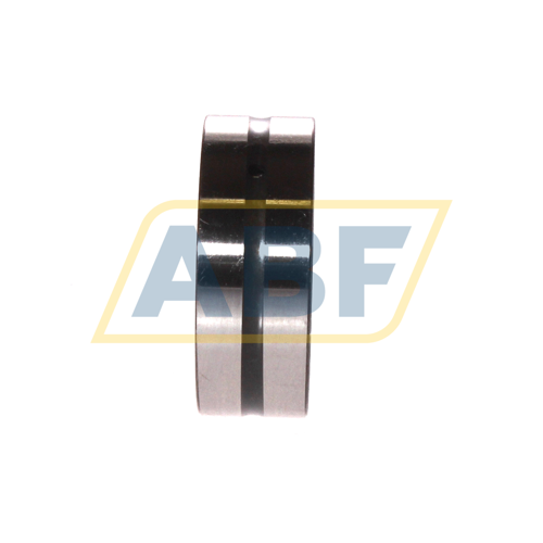 NK45/20 SKF