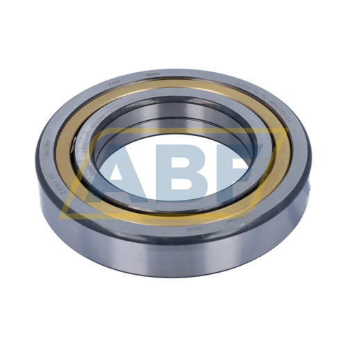 QJ216-XL-N2-MPA-F59-C4 FAG