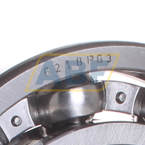 6218-P63 NKE