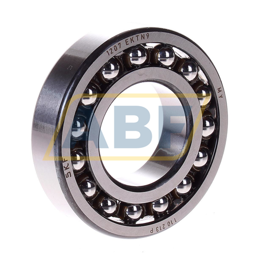 1207EKTN9 SKF