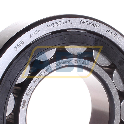 NJ315E.TVP2 FAG