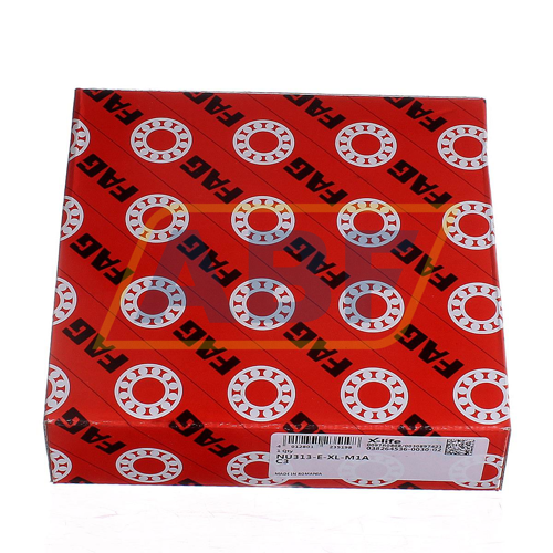 NU313-E-XL-M1A-C3 FAG