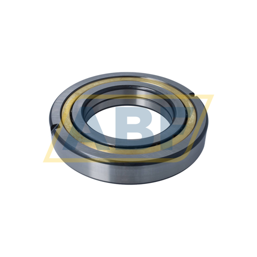 QJ226-N2-MPA-F59-C4 FAG