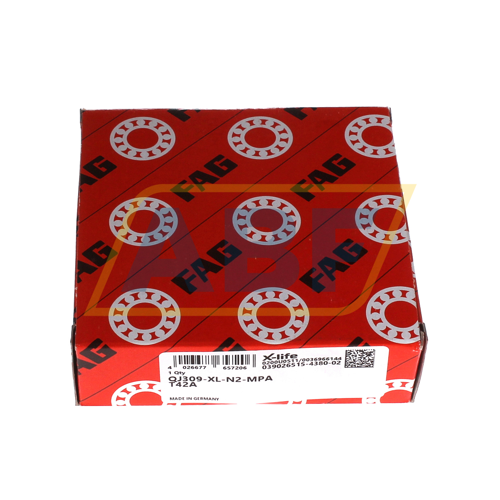 QJ309-XL-N2-MPA-T42A FAG