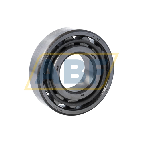 N307 SKF