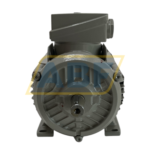 1TZ9001-0DB33-4AA4 Lönne