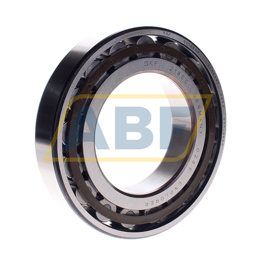 N218ECP SKF
