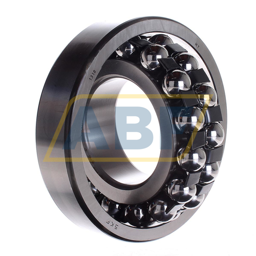 1318 SKF