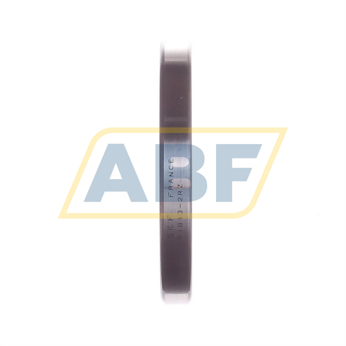 61813-2RZ SKF