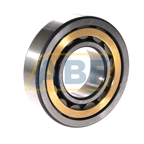 NU309-E-XL-M1-F1-C4 FAG