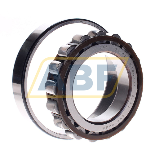N218ECP SKF