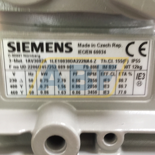 1LE1003-0DA22-2NA4-Z Siemens