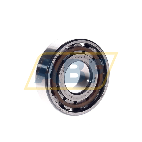 N305ECP SKF