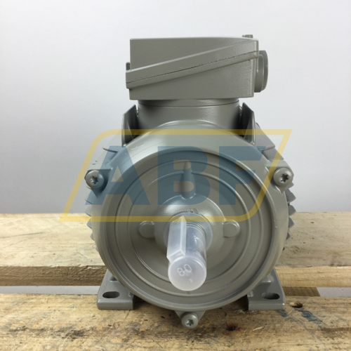 1LE1002-0DB22-2AA4 Siemens