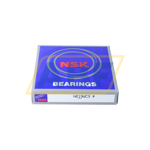 N219WC3 NSK