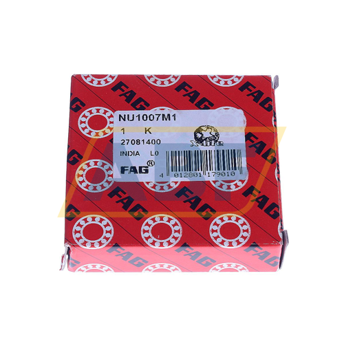 NU1007M1 FAG