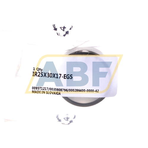 IR25X30X17-EGS INA