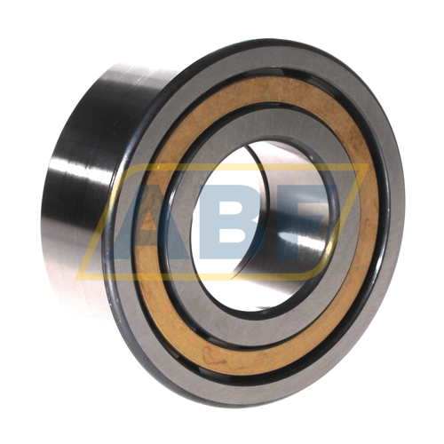 NUP2311-E-XL-M1-C3 FAG