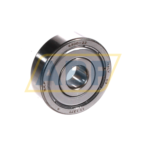 6300-2Z SKF