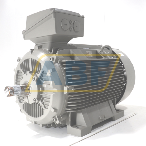 1LE1501-3AA43-4AB4 Siemens