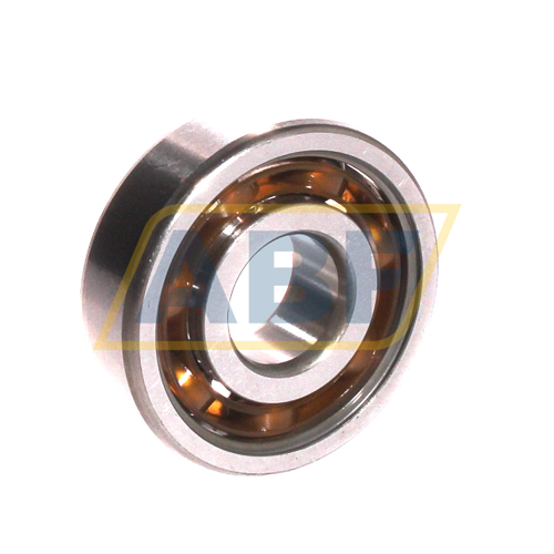 6303TN9 SKF