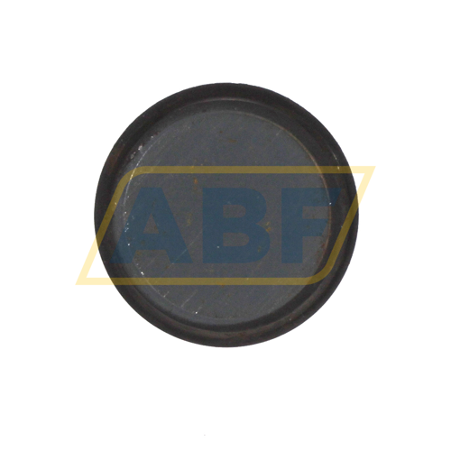 ASNU506 FSQ