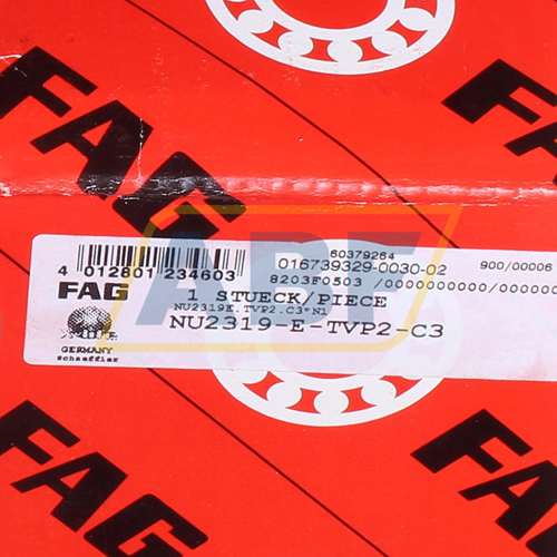 NU2319E.TVP2.C3 FAG