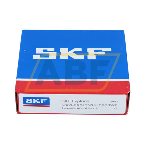 6309-2RS1TN9/HC5C3WT SKF