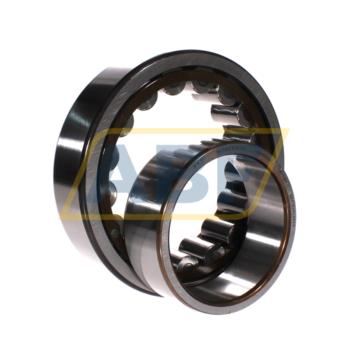 NU2220ECP/C3 SKF