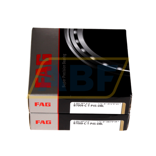 B7009-C-T-P4S-DBL FAG