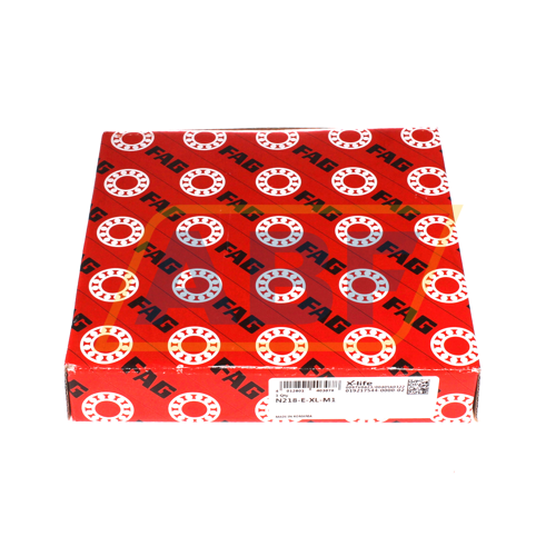 N218-E-XL-M1 FAG