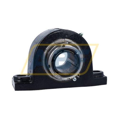 P2B-RN06-6045MM-Z Rexnord