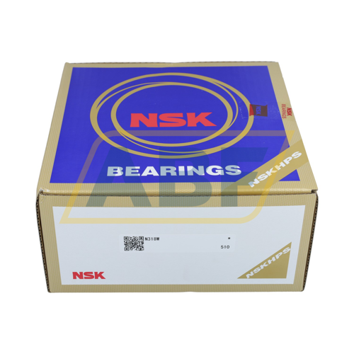 N318W NSK