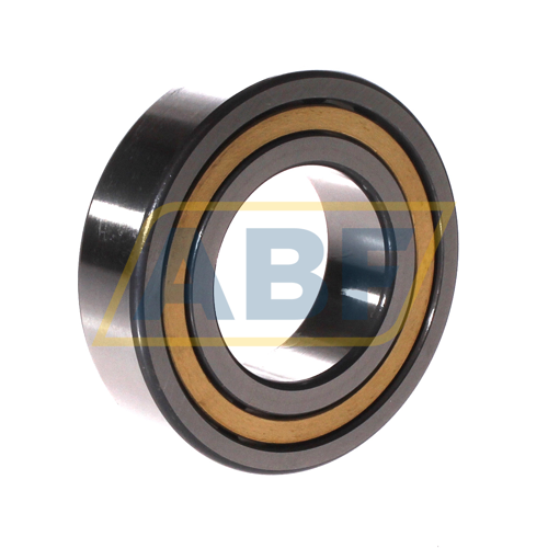 NJ2209-E-XL-M1-C3 FAG