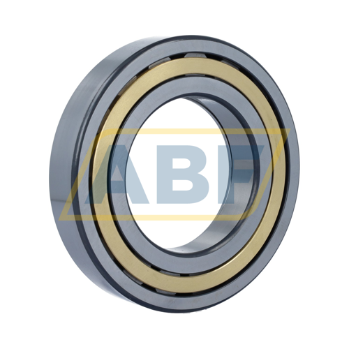 NUP218-E-XL-M1-C4 FAG