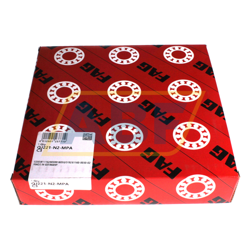 QJ221-N2-MPA-C3 FAG