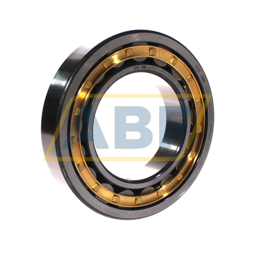 NJ218-E-XL-M1-C3 FAG