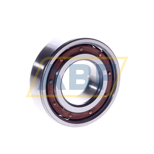 6205TB SKF
