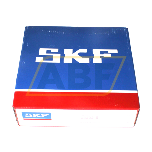 22222E SKF