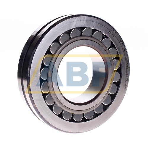 21318E SKF