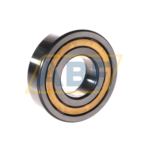 NUP308-E-XL-M1-C3 FAG