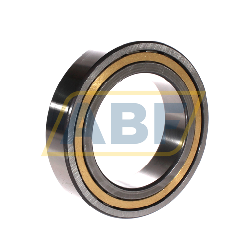 NJ2018-E-XL-M1-QP51-C3 FAG